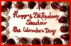 Birthday party for Shadow