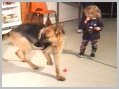 Shadow with kids